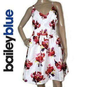 Bailey Blue white and red large print Print Sleeveless A-Line sun dress sz 14